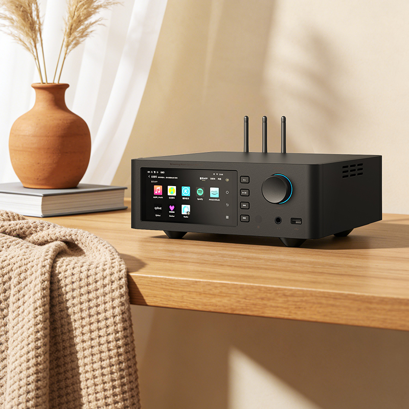 SM1.3R High-End Hi-Fi Streamer---R2R DAC